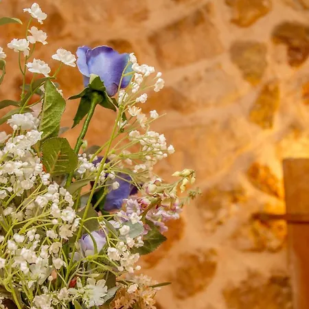 Finca Son Brondo Country house