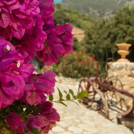Country house Finca Son Brondo