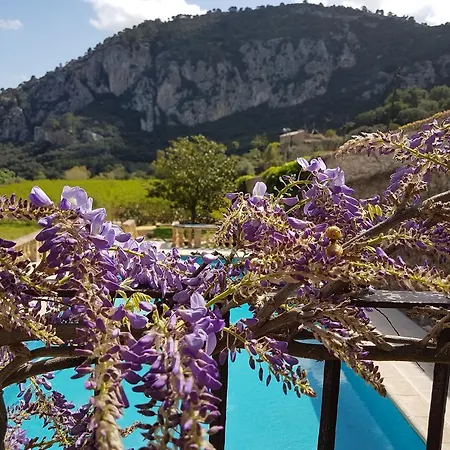 Finca Son Brondo Landhaus Valldemossa (Mallorca)