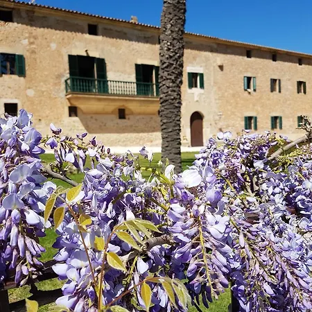 Finca Son Brondo * Valldemossa (Mallorca)