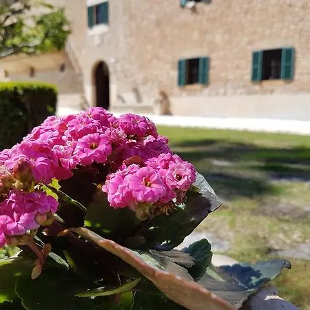 Landhaus Finca Son Brondo Valldemossa (Mallorca)