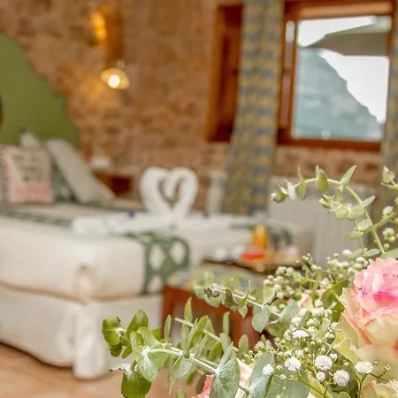 Finca Son Brondo * Valldemossa (Mallorca)